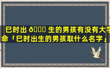 巳时出 🕊 生的男孩有没有大学命「巳时出生的男孩取什么名字」
